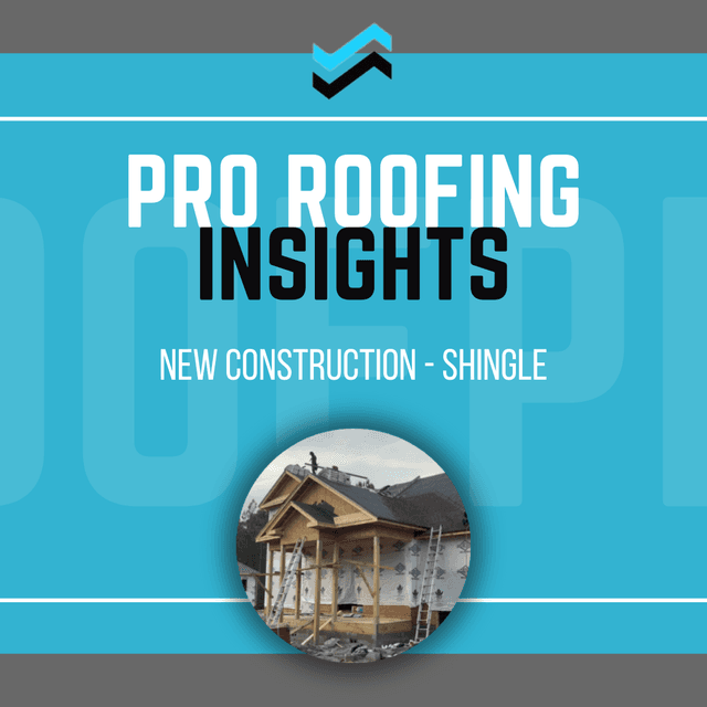 Pro Roofing Insights REPAIR